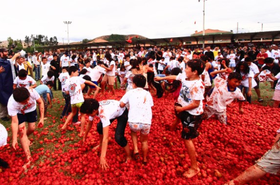 토마토축제